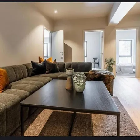 New House In The Center Of Trysil